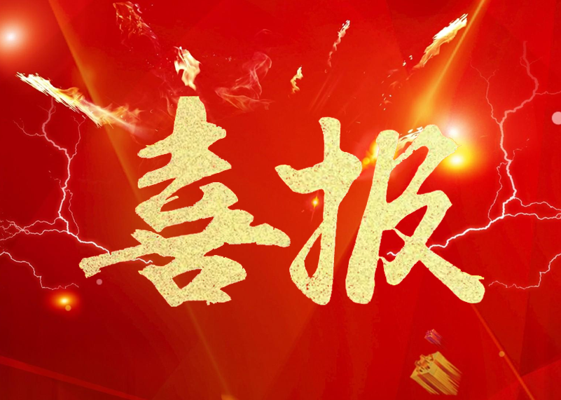 喜报 | 熊猫体育首页显示荣膺LED显示屏行业2019年知名品牌